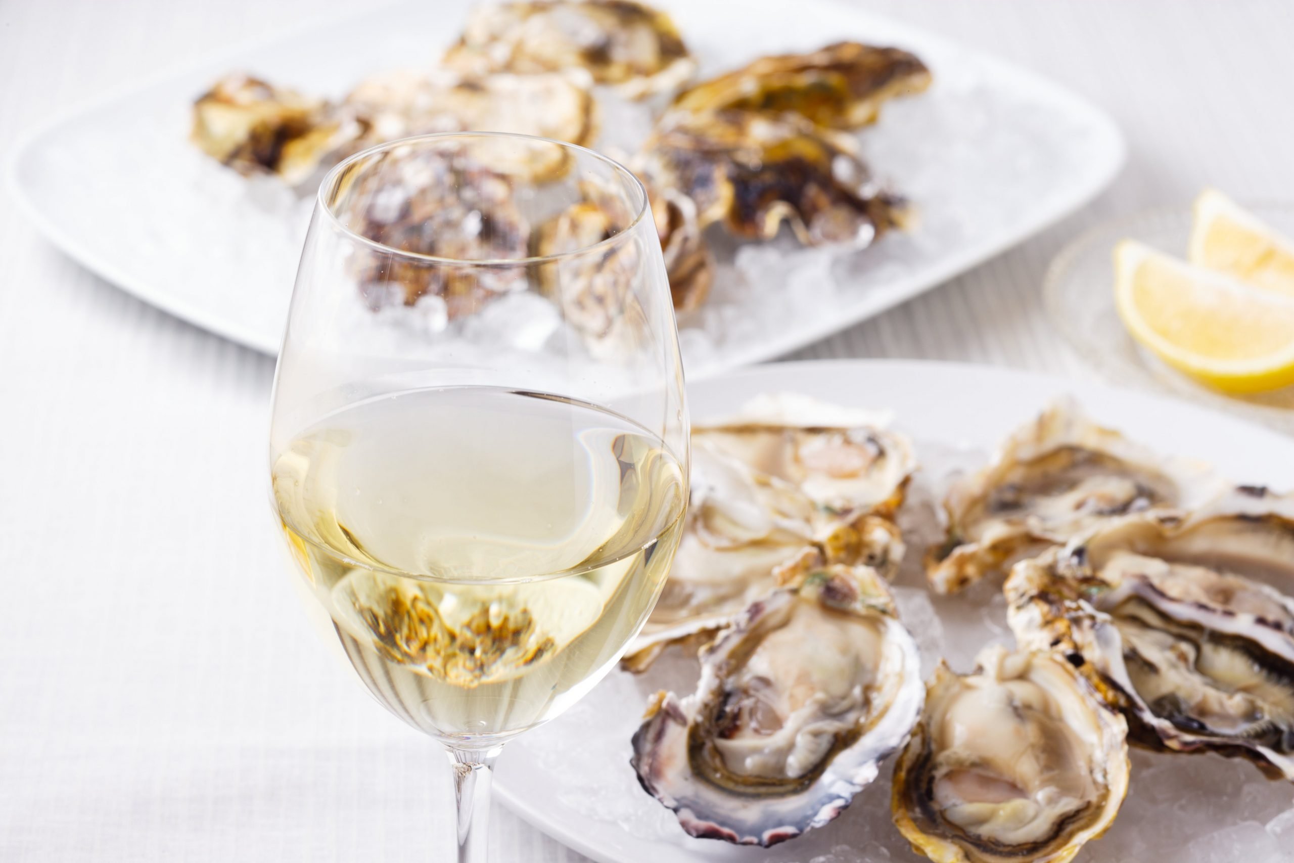 Pair Seafood and Wine like a Pro!