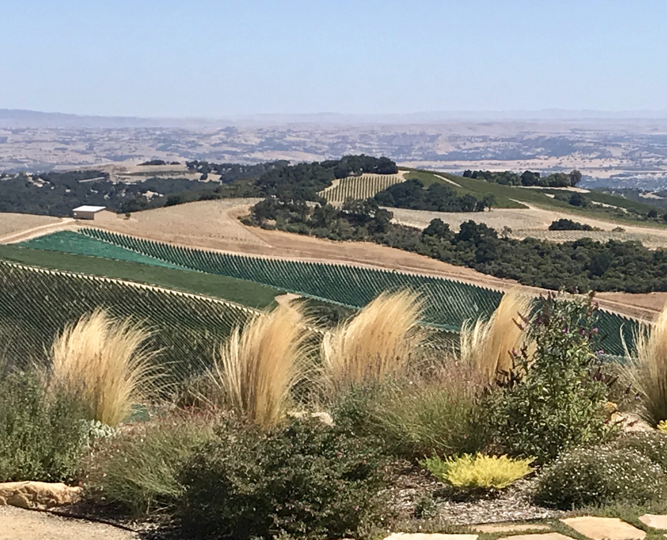 Paso Robles Wine Country Guide