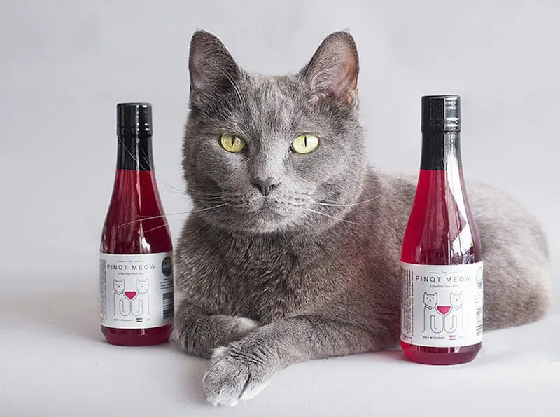 Pinot Meow! Where to buy Apollo Peak wine for cats and ...