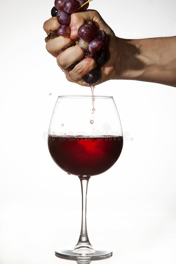 Red Grapes Squeezed By Hand To Make Wine Stock Photo ...