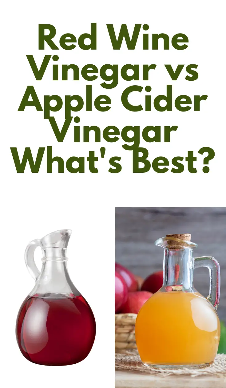 Red Wine Vinegar vs Apple Cider Vinegar