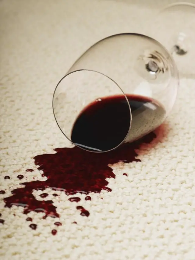 Removing Beer and Wine Stains From Carpeting