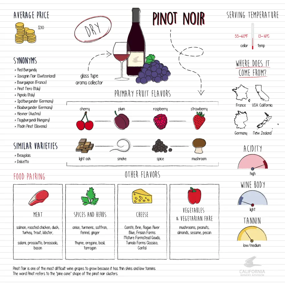 The 15 Most Popular Wine Types