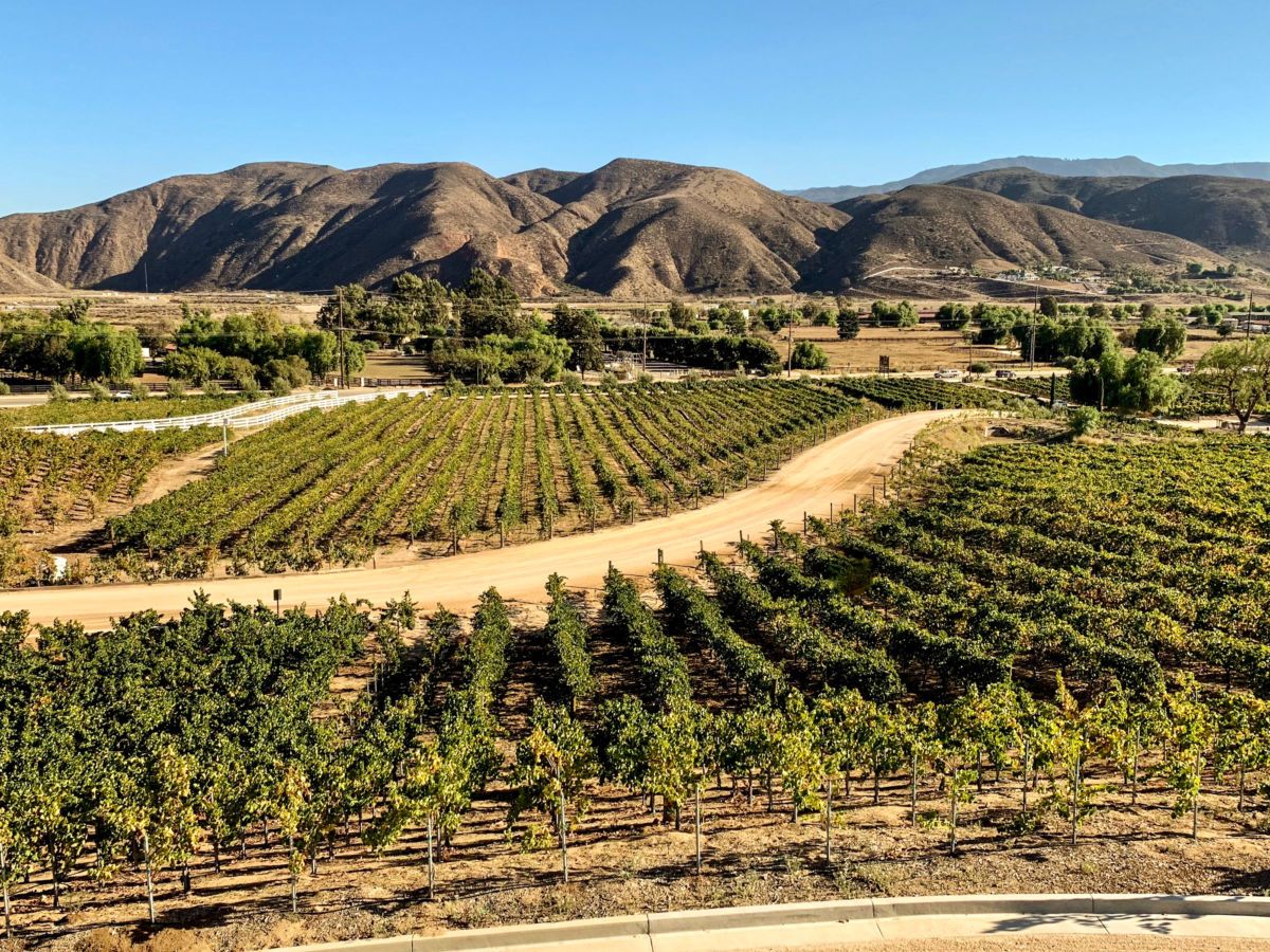 The best wine tour of Californias Temecula Valley
