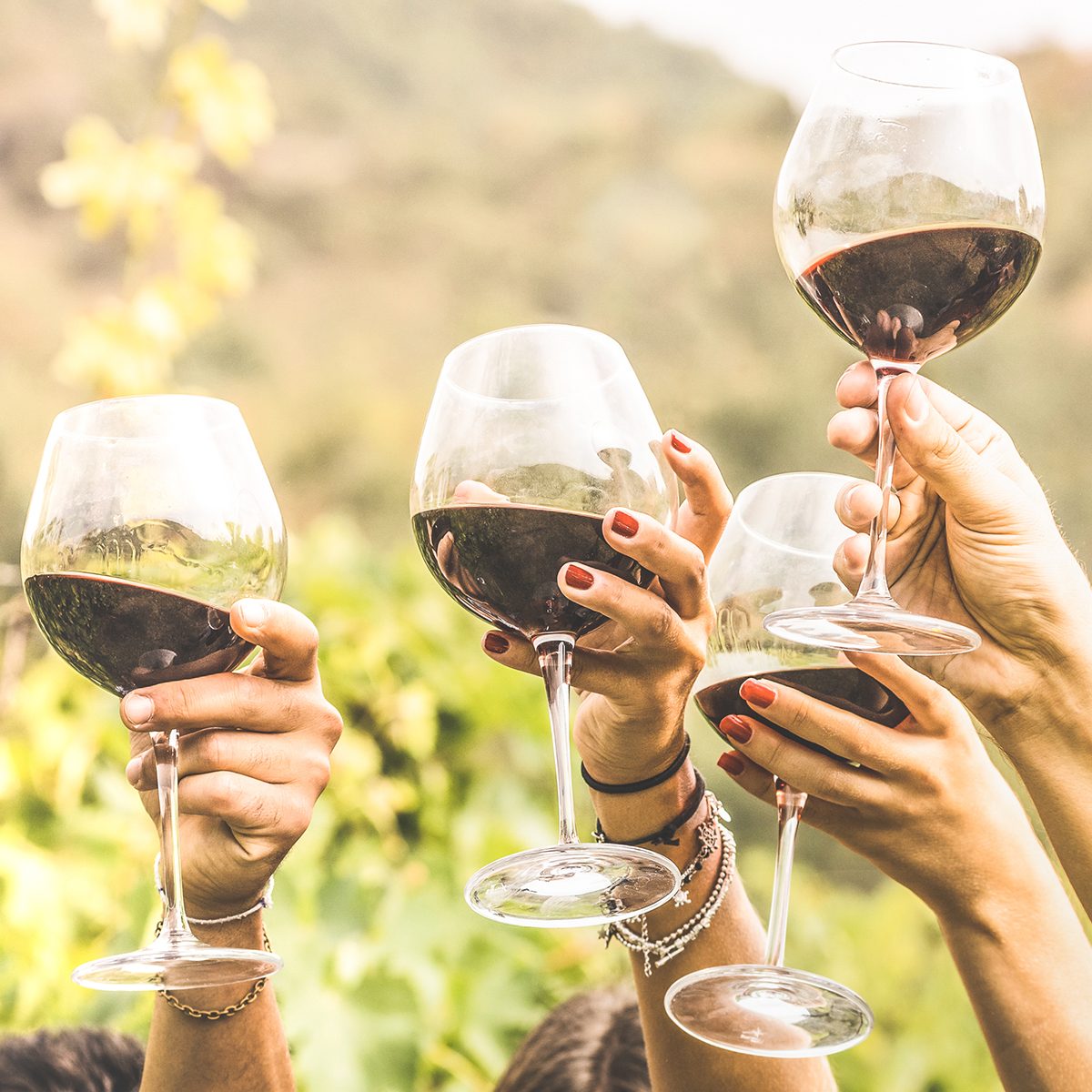 The Best Wines for a Wine Tasting Party