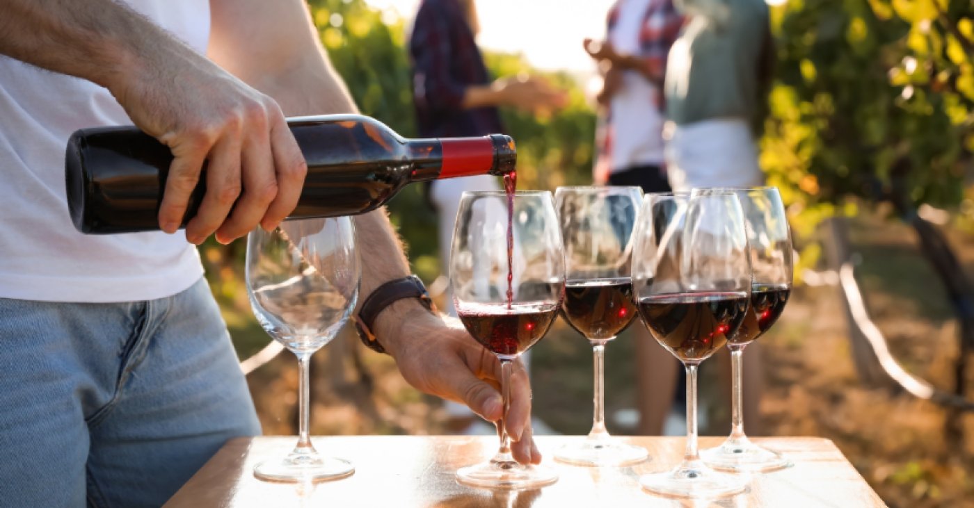 The Ten Best Italian Red Wines: A Beginners Guide