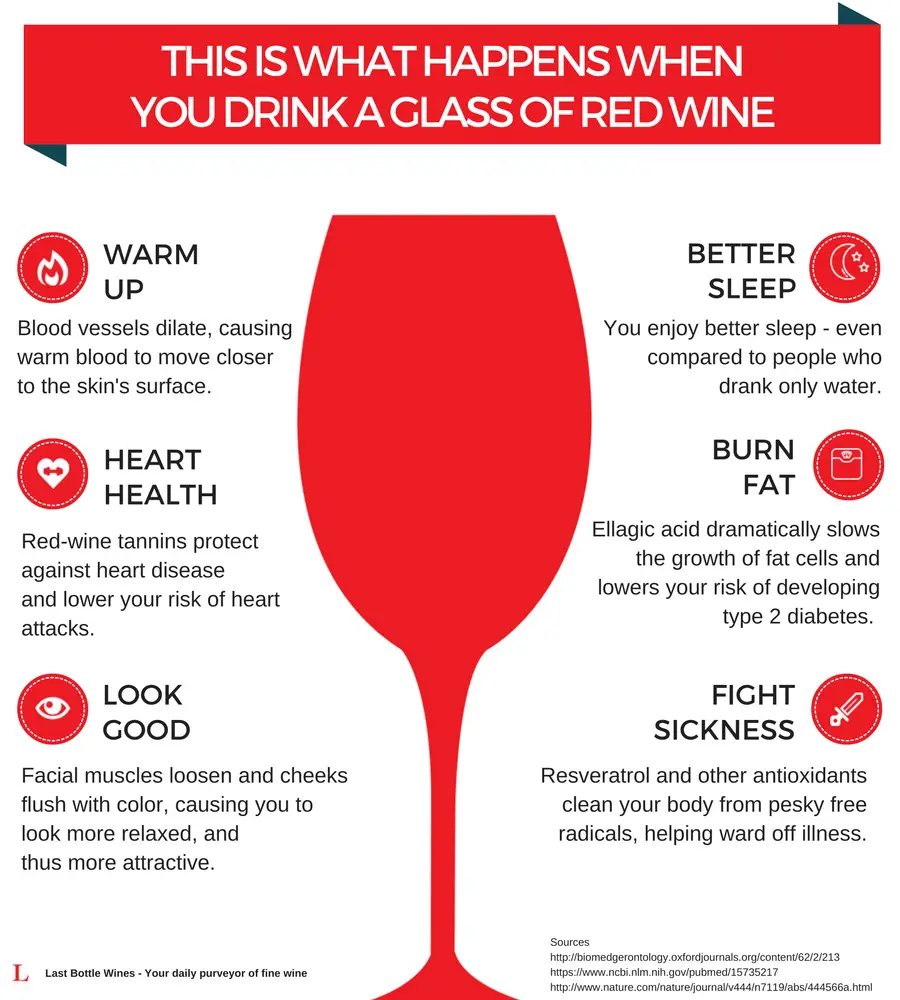 The Top 10 Healthy Reasons Why You Should Drink Red Wine