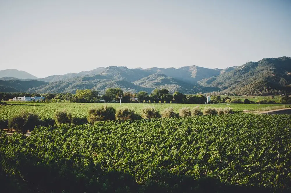 The Top 10 Wineries for Napa Insiders
