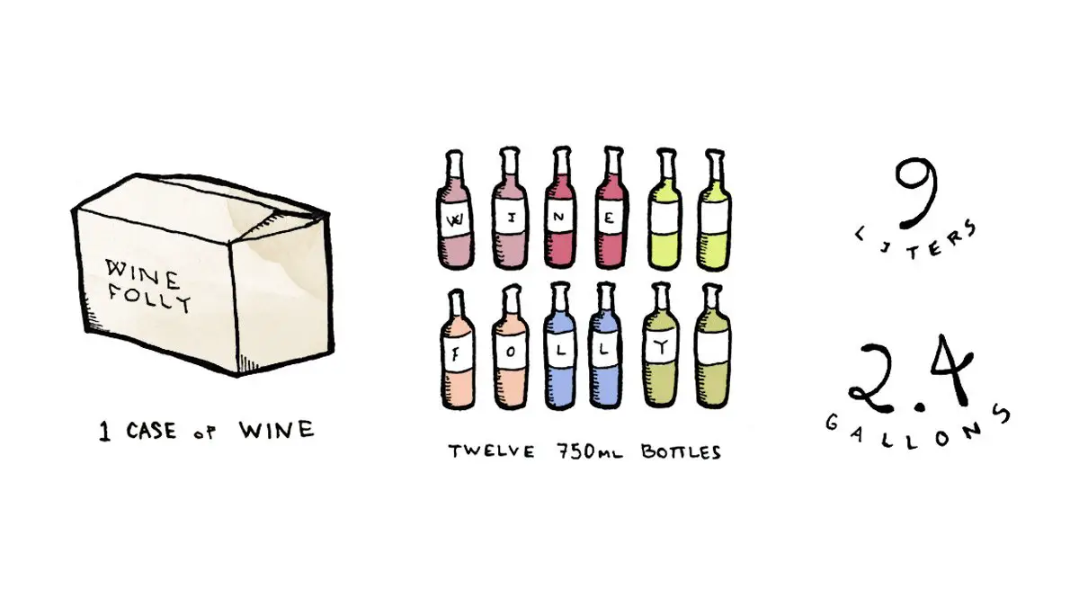 The Ultimate Guide to Buying a Case of Wine