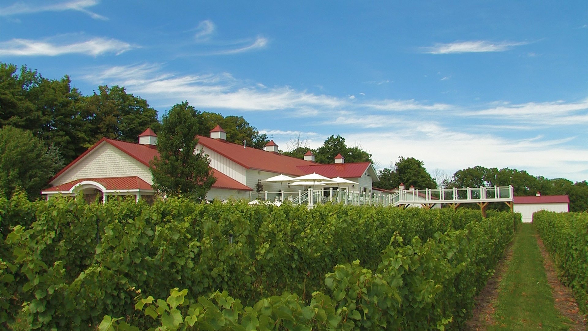 These 9 Beautiful Wineries In Michigan Are A Must