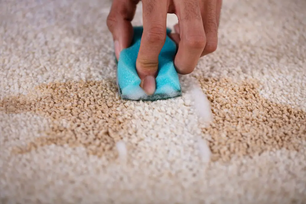 This Is How to Get Old Stains Out of Carpet