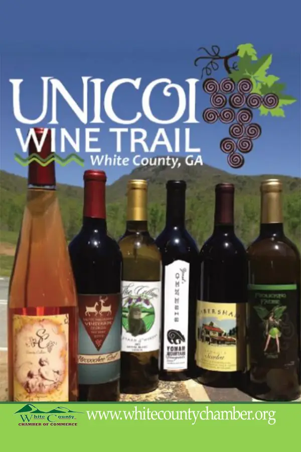 Tour North Georgia Wineries with New Unicoi Wine Trail App