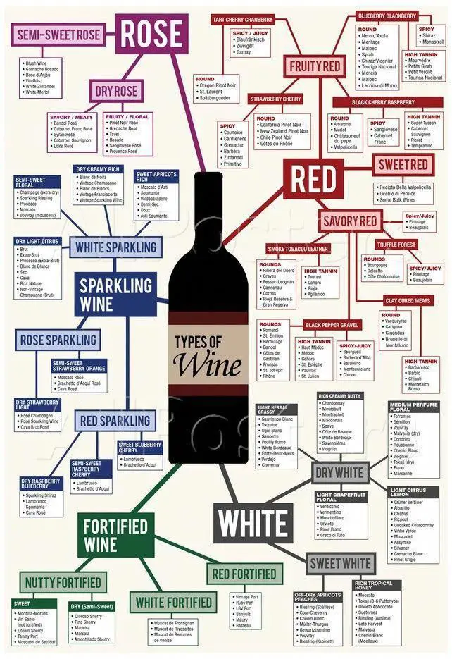 types of wine chart poster allposters com wine chart