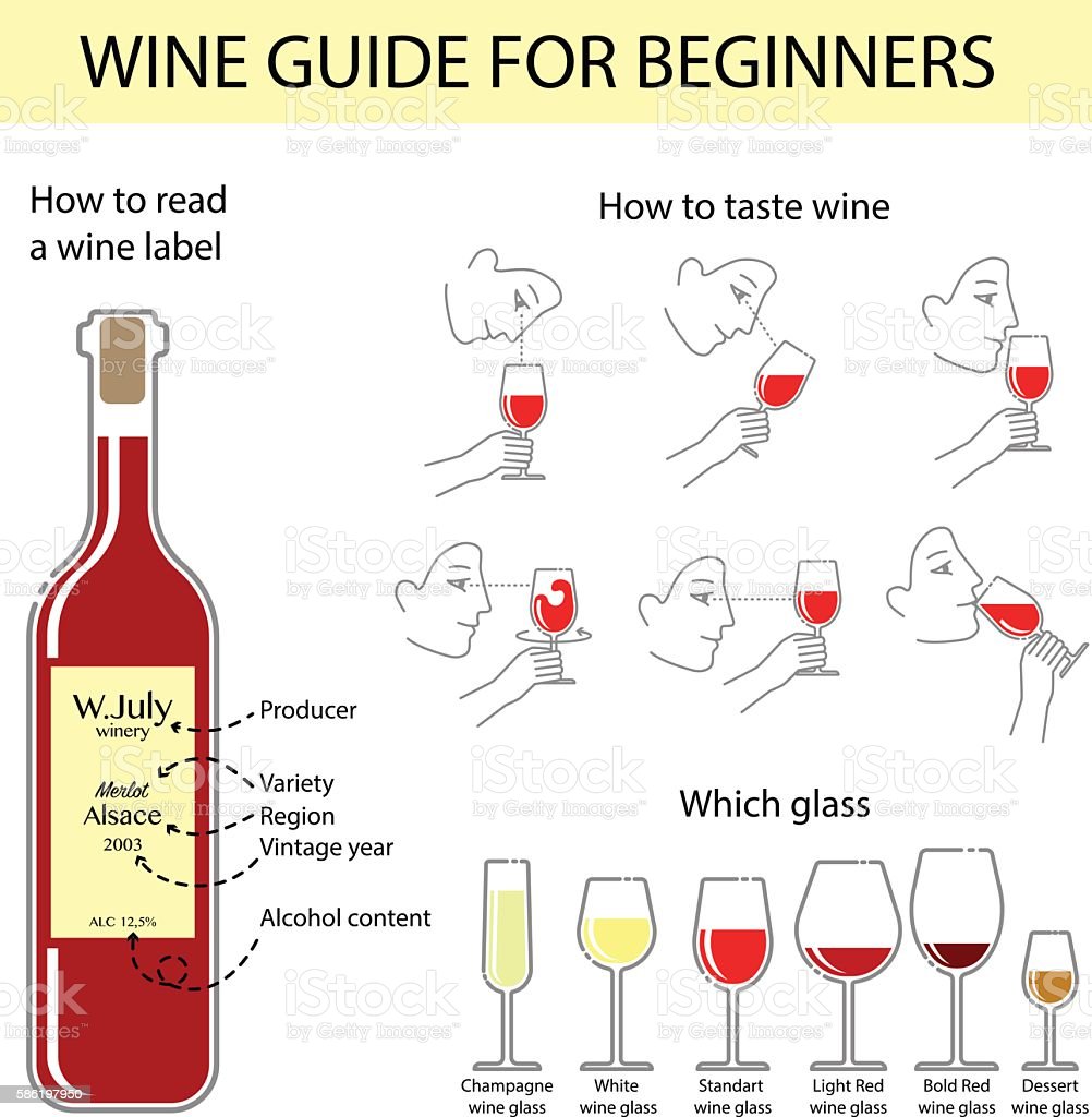 Vector Infographic Of Wine Tasting Guide For Beginners Stock ...