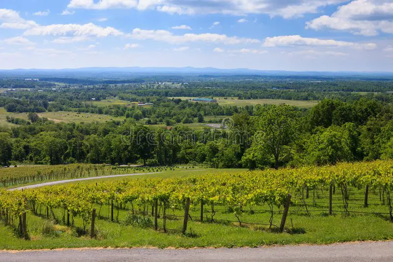 Virginia Wine Country stock photo. Image of elevation ...
