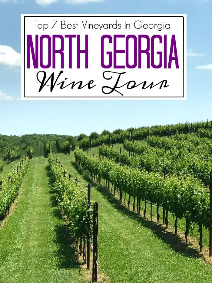 Visit some of the best vineyards in North Georgia. North Georgia is ...