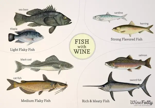 What red wines go well with fish?
