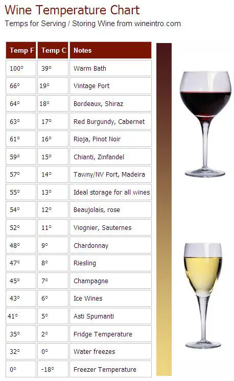 What type of wine " glass"  do you like to use?