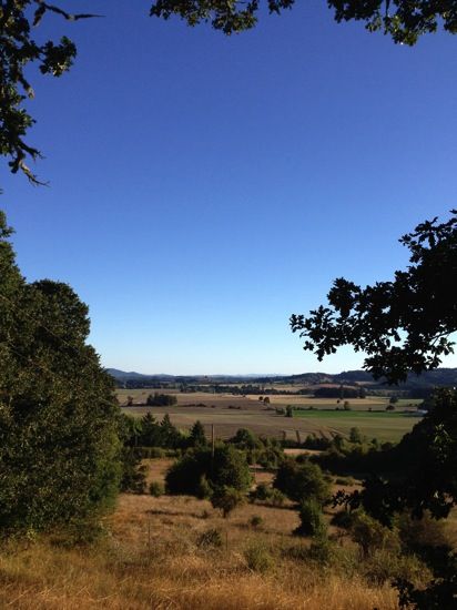 Where To Stay in the Willamette Valley (Oregon Wine ...