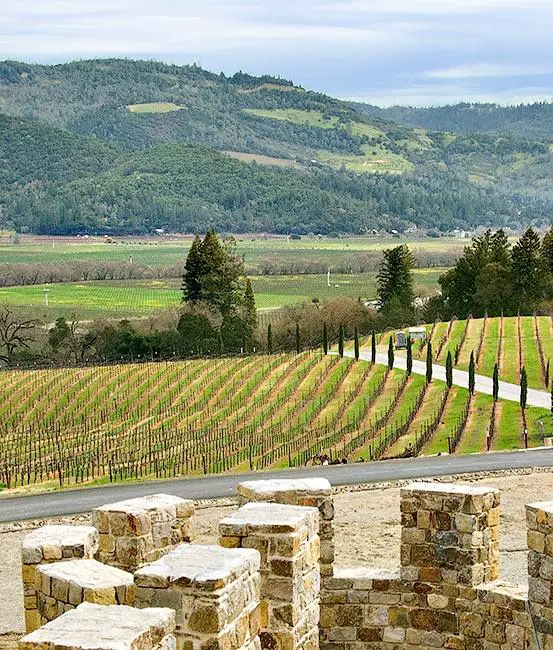 Which winery in Wine Country (Napa/Sonoma area) has the best views?