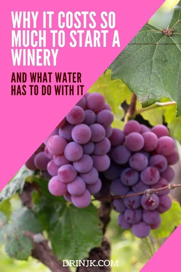 Why It Costs So Much To Start A Winery And What Water Has ...