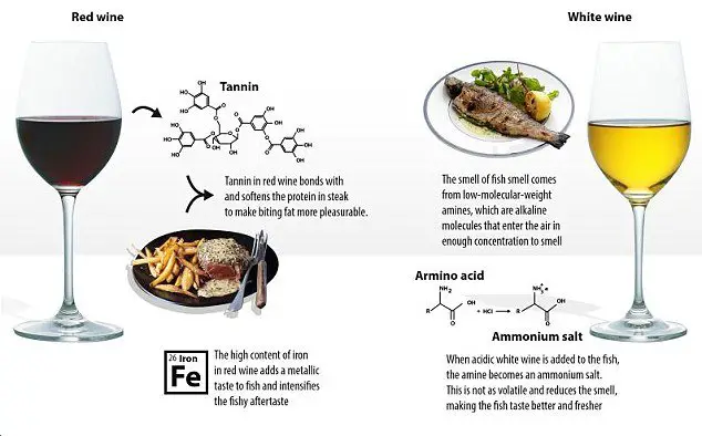 Why red wine goes with steak and why fish prefers white ...