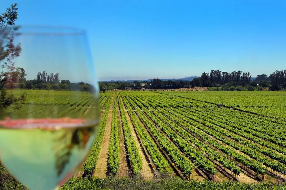 Why you need to visit charming Sonoma wine country: Trip ...