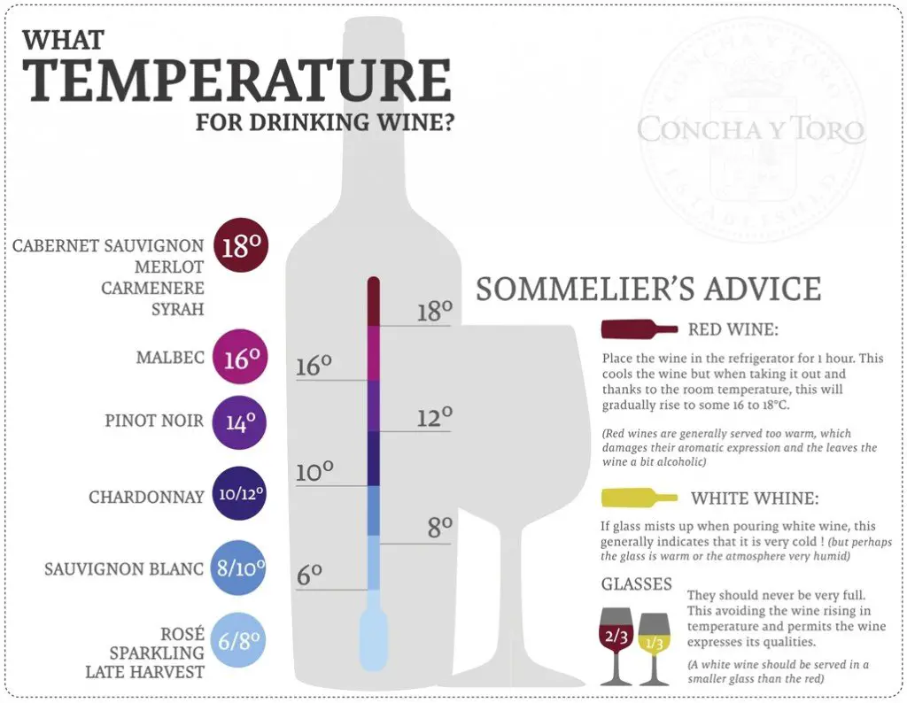 Wine Serving Temperature